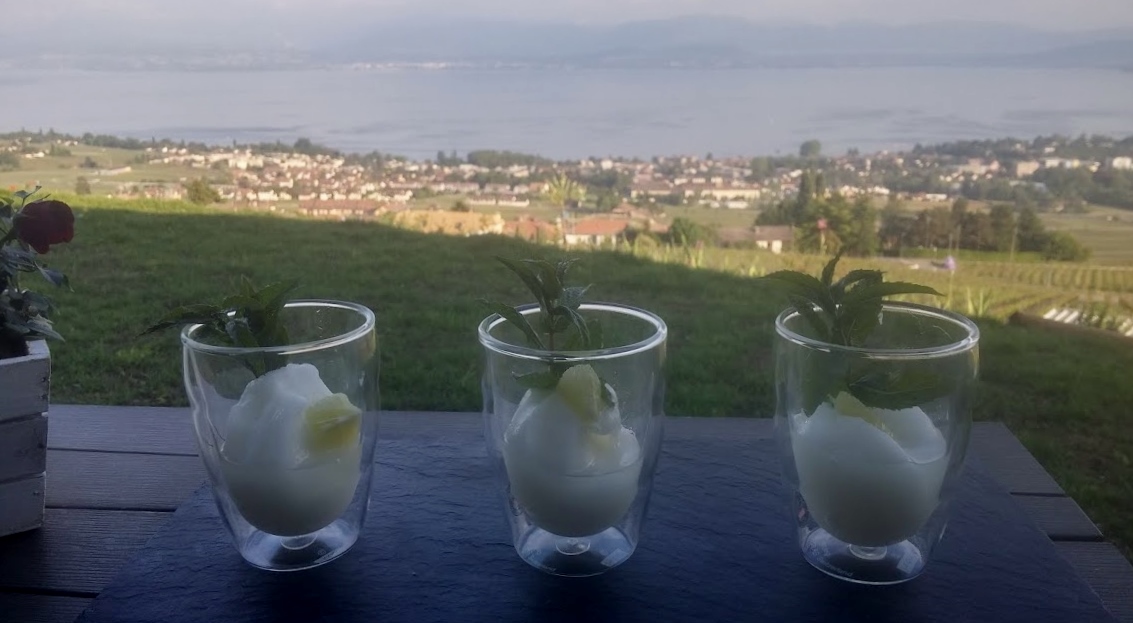 Sorbet citron vert menthe