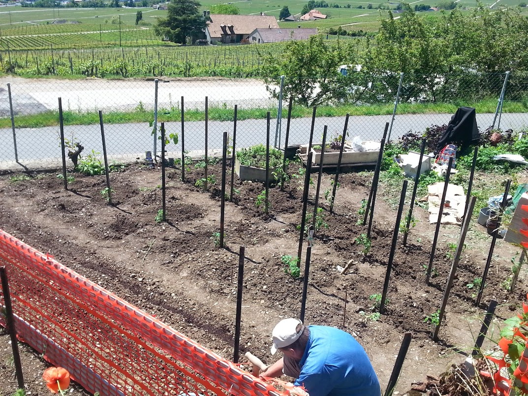 C'est planté