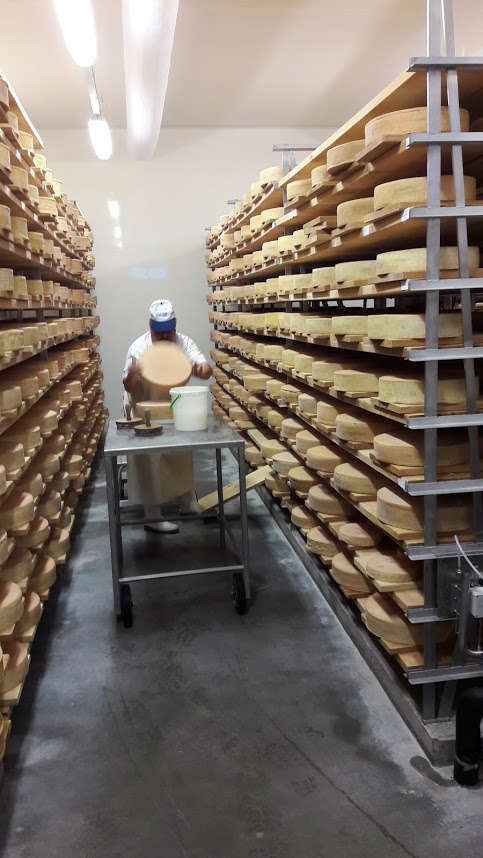 Les fromages d'alpage