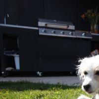 Avec le chien de garde